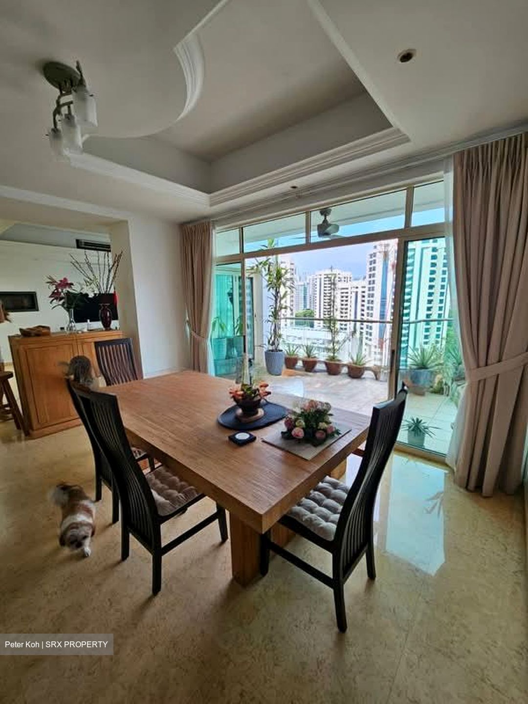 The Horizon (D10), Condominium #571155821